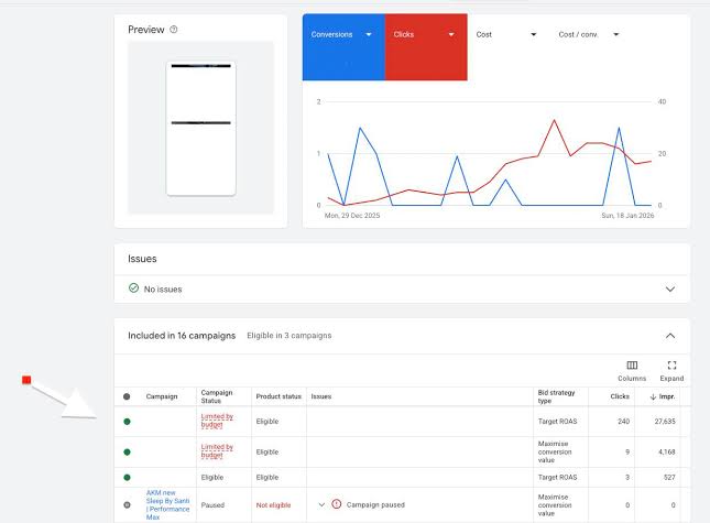 Google Performance Max campaign budget and performance report